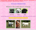 Our Lovable Labs