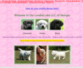 Our Lovable Labs