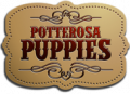 Potterosa Puppies