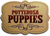 Potterosa Puppies