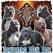 Singletons Blue Pits