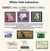 White Oak Labradors