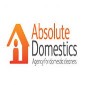 Absolute Domestics Adelaide
