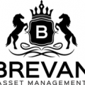 Brevan Asset Management