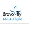 Bravo Fly