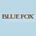 Blue Fox Construction
