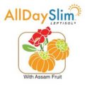 All Day Slim