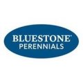 Bluestone Perennials