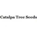 Catalpatreeseeds.com