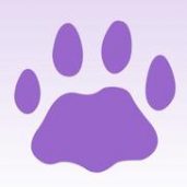 TheAnimalRescueSite