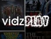 Vidzplay