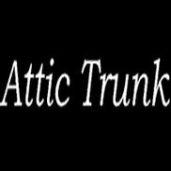 Attic Trunk