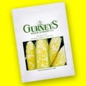 Gurney's