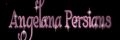 Angelana Persians