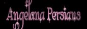 Angelana Persians