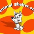 Animal Shelter