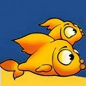 Aquarium Guys