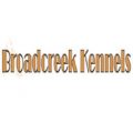 Broadcreek Malinois Maryland