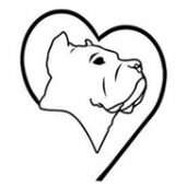 Cane Corso Rescue, Inc.