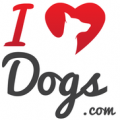 IHeartDogs / Homelife Media