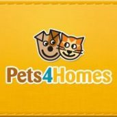 Pets4Homes