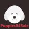 PuppiesR4Sale