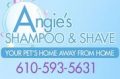 Angie's Shampoo & Shave