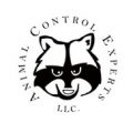 Animal Control Experts