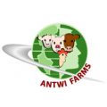 Antwi Farms