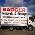 Badger Removals