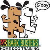 Bark Busters