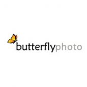 Butterfly Photo