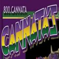 Cannata's King Cakes