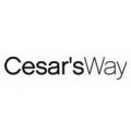Cesar Millan, Inc.