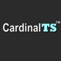 Cardinal Technology Solutions