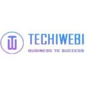 TechiWebi Services
