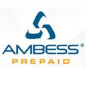 Ambess Enterprises Inc.