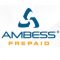 Ambess Enterprises Inc.