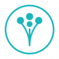 WeddingWire