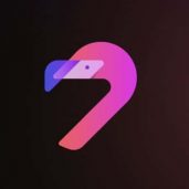 Flamingo Financing Company