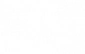 Taylor Brunswick Group
