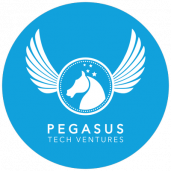 Pegasus Ventures