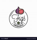 Fig Pay