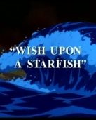 Wish Upon Starfish