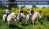 Shadow Mountain Stables