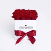 Beverly Hills Roses