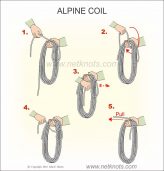 Alpine Coil