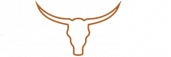 Longhorn Investments