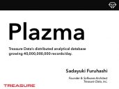 Plazma Net Inc