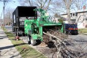 Cheap Charlies Tree Service